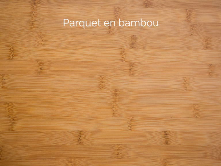 Parquet en bambou